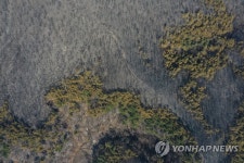 [동해안 산불] 여의도 19배 산림 잿더미…대자연 경고에 대안 없나
