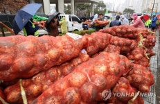 성난 양파 재배 농민들
