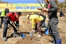 나무 심는 봄…장성군, 북하면 용동마을에 아까시 숲 조성