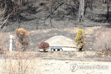 볏짚 뿌려진 산소