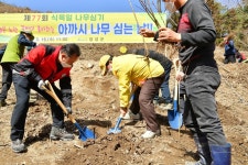 장성군, 북하면 용동마을에 아까시 숲 조성