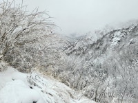 겨울로 돌아간 한계령