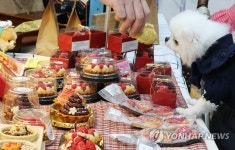 예쁜 반려동물 간식