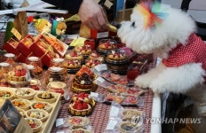 예쁜 반려동물 간식