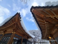 봄 눈이 소복소복