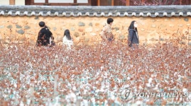 목화밭 지나는 시민들