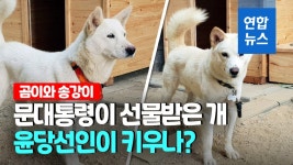 [영상] 사저 못 데려가 키우던 주인이 계속…곰이·송강이의 집은?