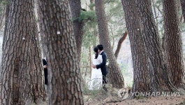 소나무 숲에서 담는 사랑