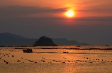 [imazine] 봄이 오는 길목 ③ 겨울 문지방 너머 온 햇살 따라, 보길도