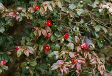 [imazine] 봄이 오는 길목 ③ 겨울 문지방 너머 온 햇살 따라, 보길도