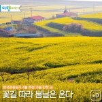 [여행honey] 꽃길 따라 봄날은 온다