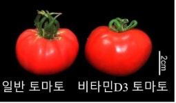 이달의 우수 농식품 벤처 A벤처스에 ㈜지플러스생명과학 선정