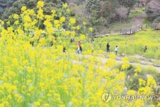 서귀포 엉덩물 계곡의 봄