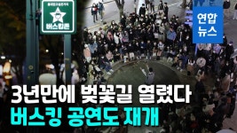 [영상] 벚꽃길 열리고 버스킹 공연 재개…불안 속 일상회복 시동