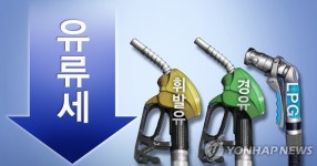 홍남기 유류세 30% 인하 여부 등 추가대책 내달 5일 확정