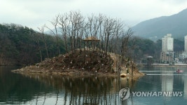 나뭇가지만 앙상한 원주 매지리 거북섬