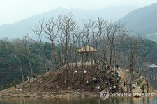 나뭇가지만 앙상한 원주 매지리 거북섬