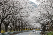 네이버 검색 결과 사진 4