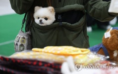 주머니 속에 쏘옥