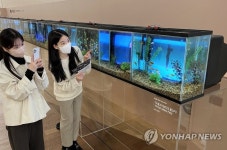 갤러리아백화점, 백남준 TV 물고기 전시