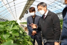 농촌진흥청장, 청년농업인 딸기농장 방문