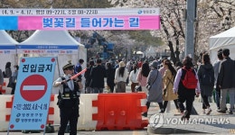 여의서로 벚꽃길 입구 교통 통제