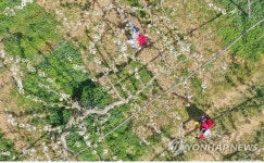 배꽃 향기 가득