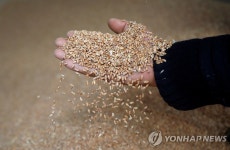 [월드&포토] 레바논에선 이제 빵이 사치품이 될겁니다
