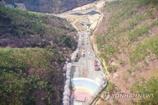 보곡산골 산벚꽃 활짝