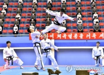 북한, 태양절 경축 태권도 경기 진행