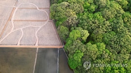 천년색으로 물든 상림공원