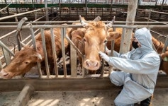 전남도, 가축질병 대응 공중방역수의사 신규 배치