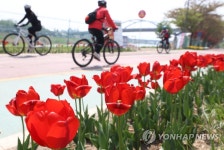 봄기운 가득한 중랑천변
