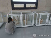 경북 상주시, 복룡동에 반려동물 입양센터 개소