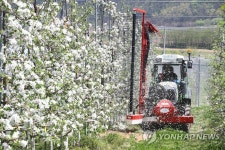 농진청 국립원예특작과학원 사과연구소 시험 재배지
