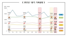 산란닭 사육 마릿수, 3개월 전보다 3.0% 감소…AI 살처분 영향