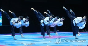 고양세계태권도품새선수권대회 축하공연