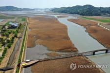 벌교생태공원 습지