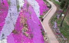 봄꽃 만개한 함양 지리산생태체험단지