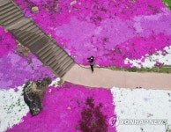 봄꽃 만개한 함양 지리산생태체험단지
