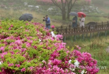 봄 산책...화순 생태숲공원