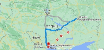 [우크라 침공] 돌고래 800 피란작전…하르키우서 오데사로