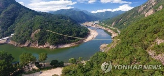 금산 월영산 출렁다리 개통…금강 상류 한눈에 조망