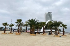 앗! 강릉 해변에 야자수가 있어?…강릉시, 힐링비치 조성 눈길