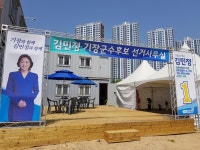 튀어야 산다…불사조·선장·슈퍼맨 복장 선거운동 눈길