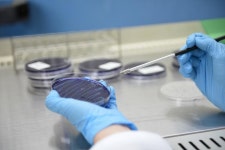 아리바이오 치매치료제 후보물질 미국서 임상 3상