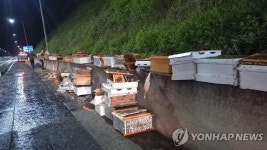 대전남부순환고속도서 벌통 옮기던 화물차 넘어져 벌떼 소동