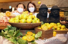 신세계백화점, 제주 하우스 감귤 판매