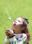 민들레 홀씨 부는 어린이