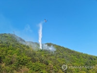 강풍·건조특보 속 태백서 산불